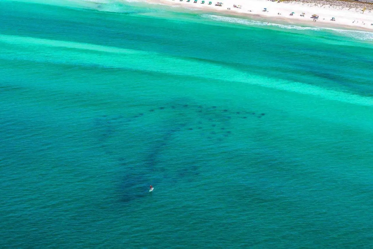 Mainsail 331 Apartment Destin United States